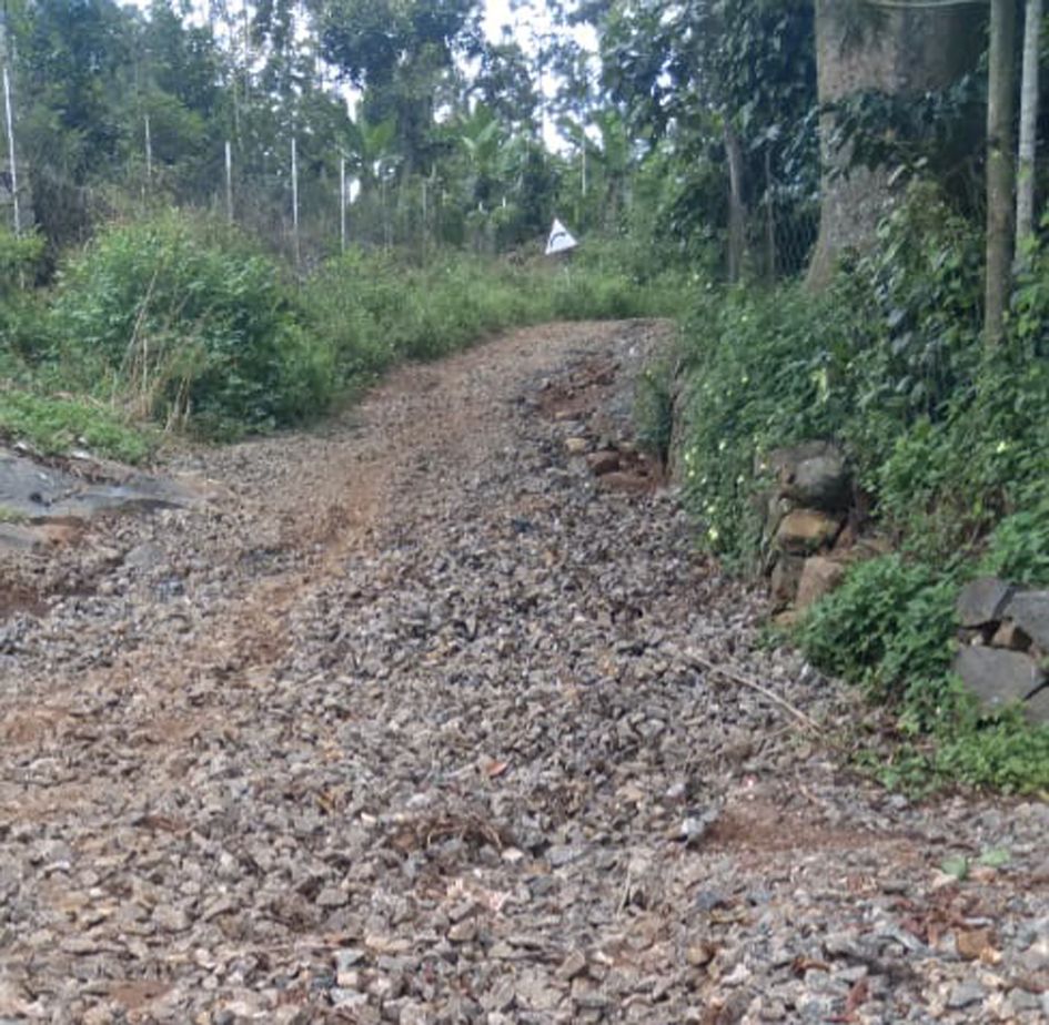 சாலை வசதி தேவை