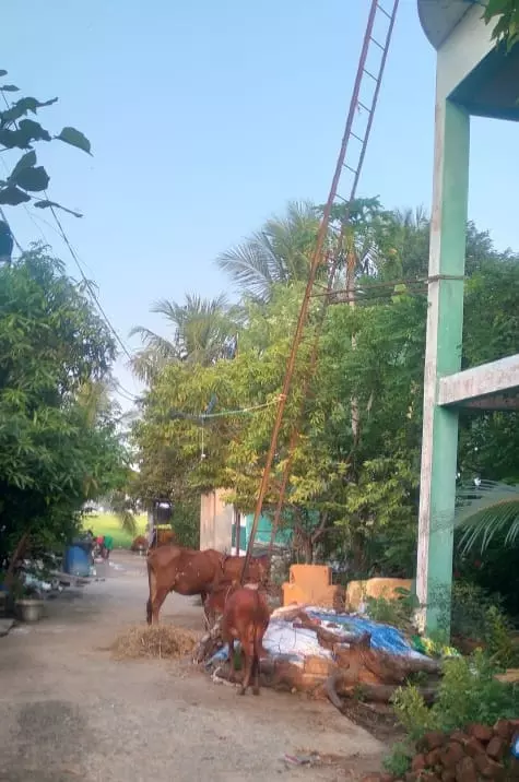 ஆக்கிரமிப்புகள் அகற்றப்படுமா? ஆக்கிரமிப்புகள் அகற்றப்படுமா?