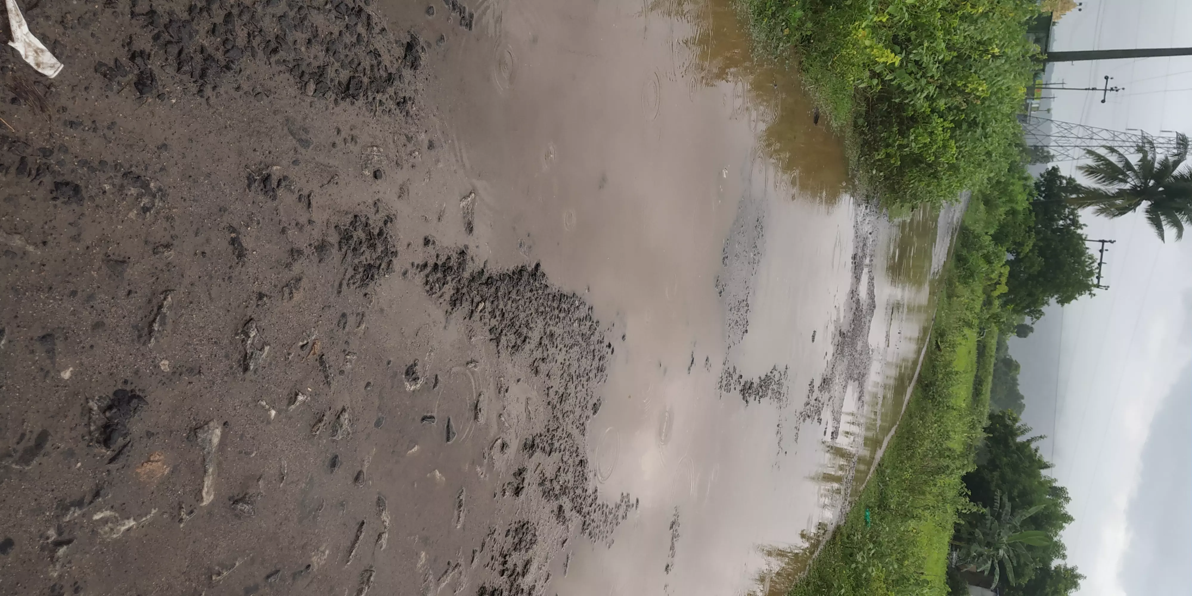 குண்டும், குழியுமான சாலை