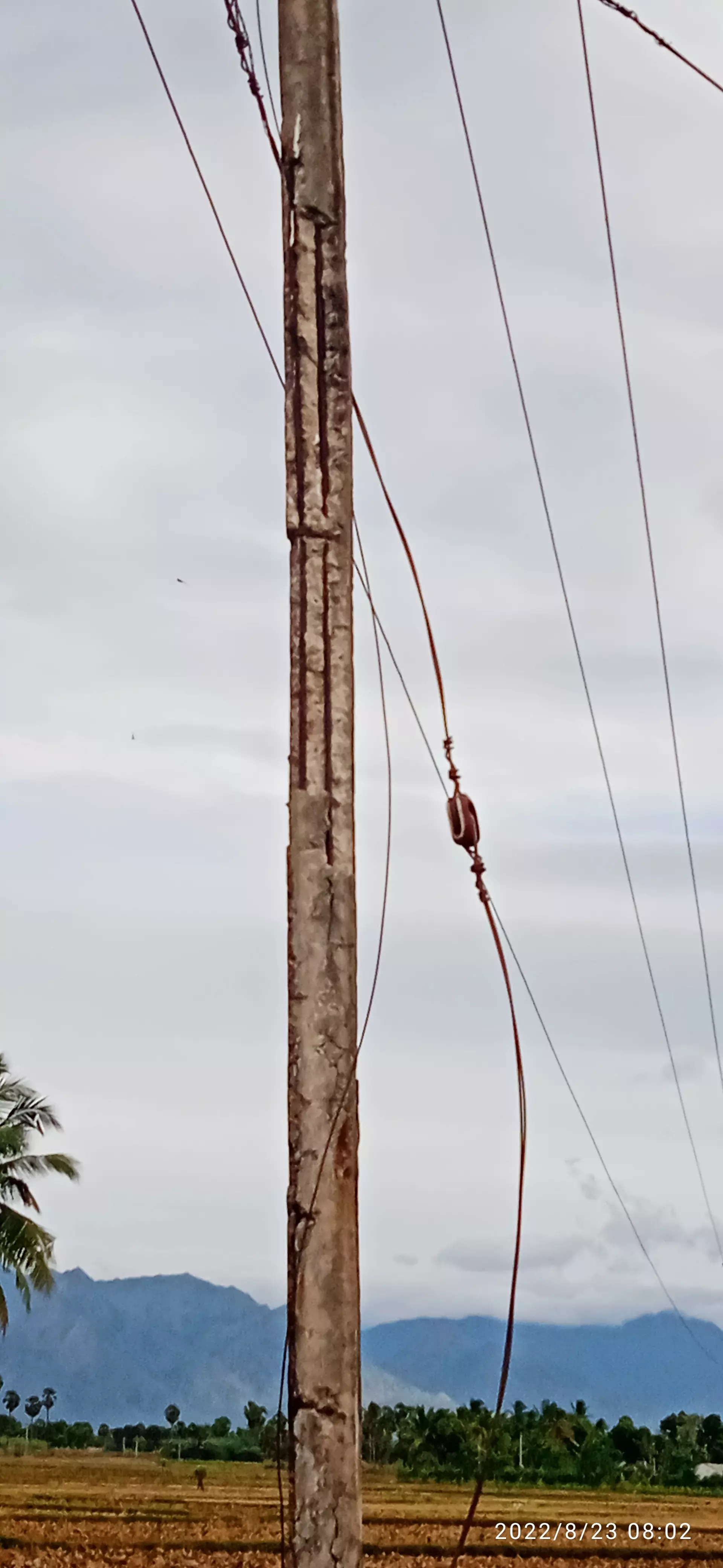 ஆபத்தான மின்கம்பம்