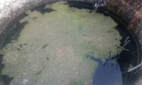 குடிநீர் கிணற்றை பராமரிக்க வேண்டும்