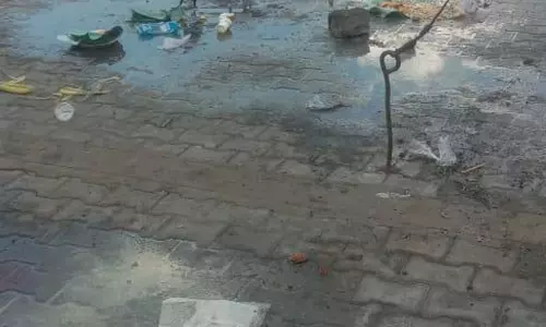 குப்பைத்தொட்டி வைப்பார்களா? குப்பைத்தொட்டி வைப்பார்களா?