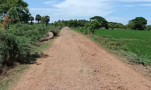 சாலை சீரமைக்கப்படுமா?