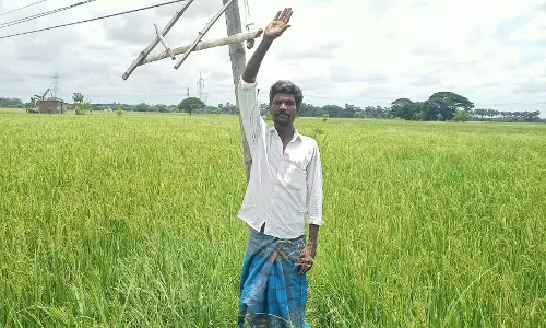 தாழ்வாக செல்லும் மின்கம்பிகள்