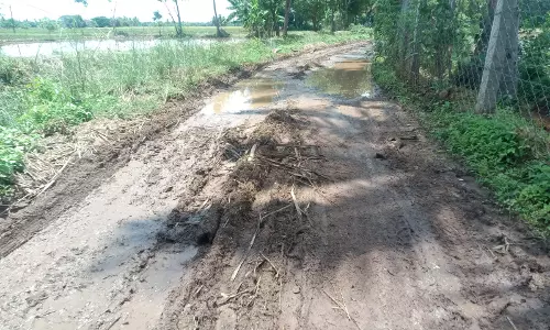 சேறும்,சகதியுமான சாலை