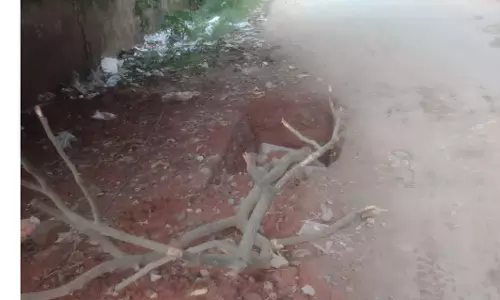 சாலை பள்ளம் சீரமைக்கப்படுமா? சாலை பள்ளம் சீரமைக்கப்படுமா?