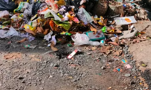 குப்பைகளால் சுகாதார சீர்கேடு குப்பைகளால் சுகாதார சீர்கேடு