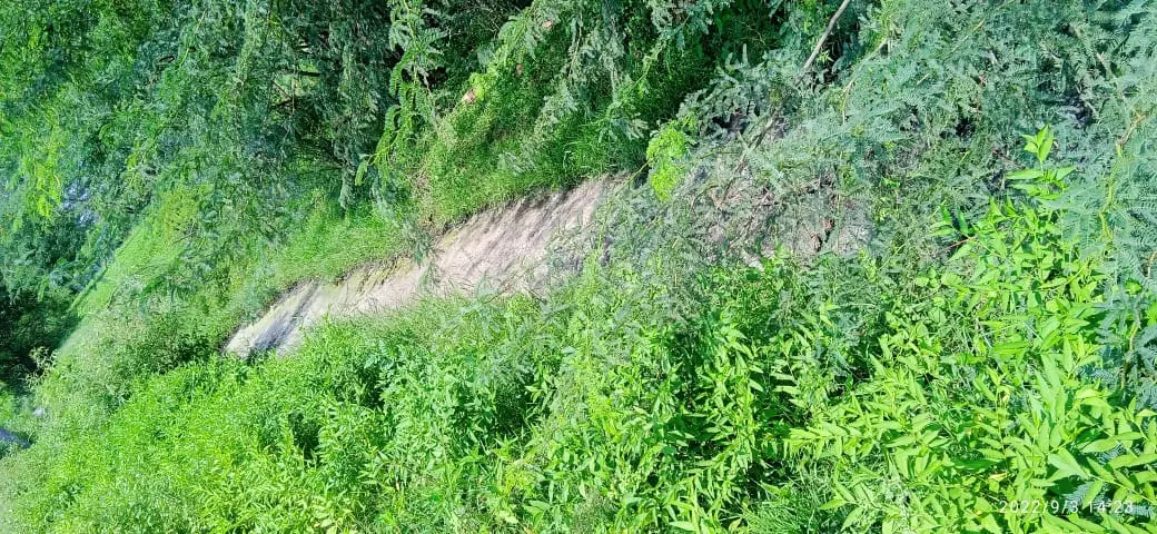 அசுத்தமாகும் குளத்து நீர் அசுத்தமாகும் குளத்து நீர்