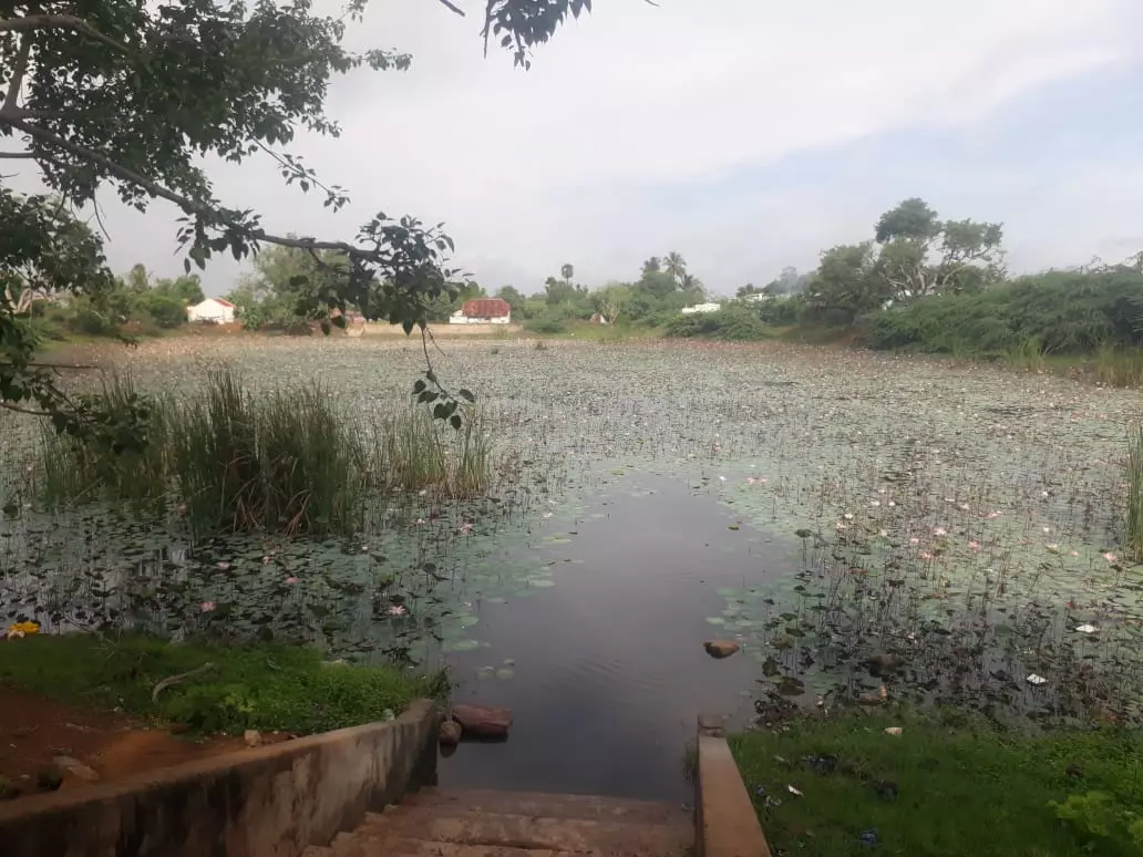 பயன்படுத்த முடியாத நிலையில் உள்ள குளம் பயன்படுத்த முடியாத நிலையில் உள்ள குளம்