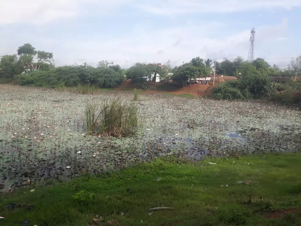 பயன்படுத்த முடியாத நிலையில் உள்ள குளம் பயன்படுத்த முடியாத நிலையில் உள்ள குளம்