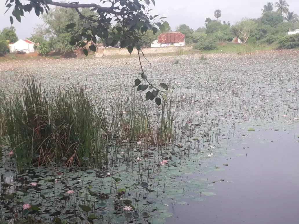 பயன்படுத்த முடியாத நிலையில் உள்ள குளம் பயன்படுத்த முடியாத நிலையில் உள்ள குளம்