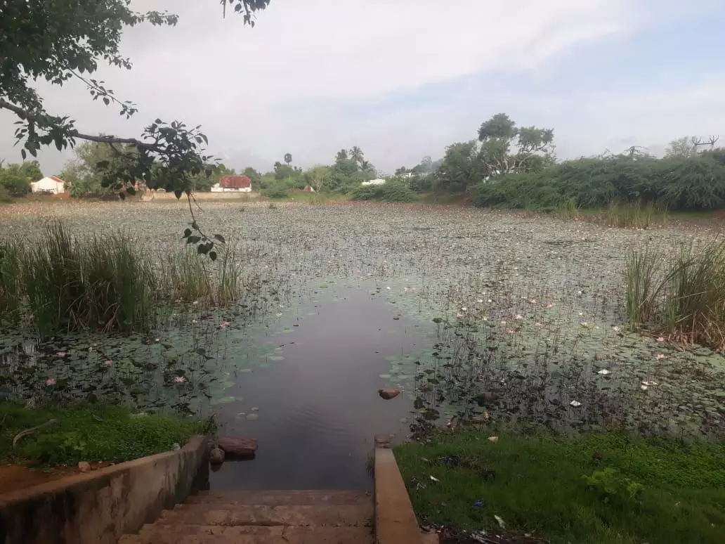 பயன்படுத்த முடியாத நிலையில் உள்ள குளம் பயன்படுத்த முடியாத நிலையில் உள்ள குளம்