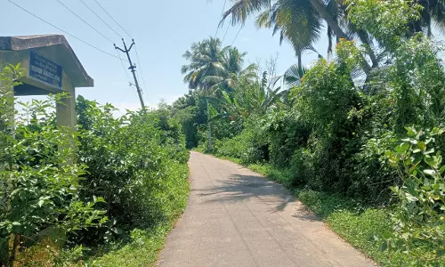 மின்விளக்கு வசதி வேண்டும்