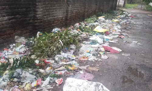 சுகாதார சீர்கேடு சுகாதார சீர்கேடு