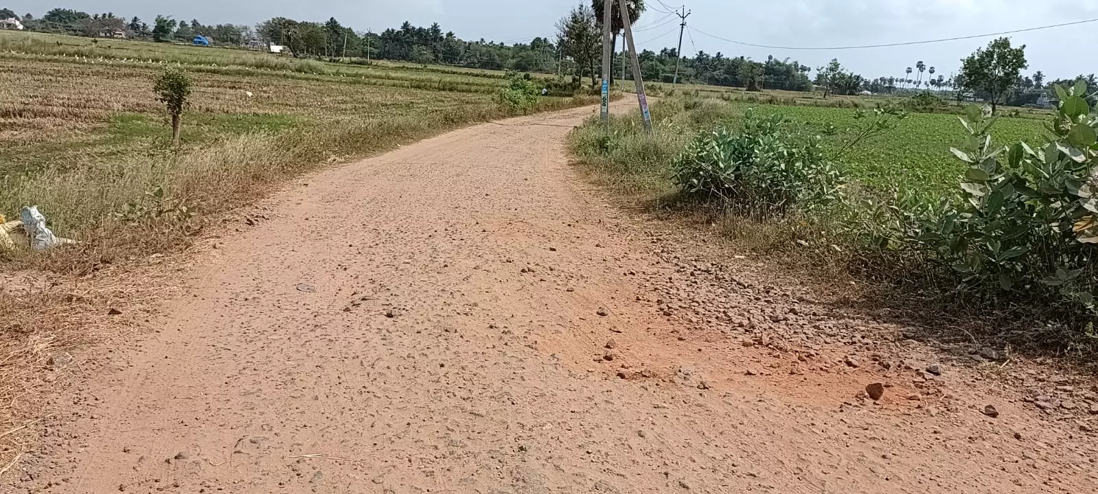 குண்டும்,குழியுமான சாலை