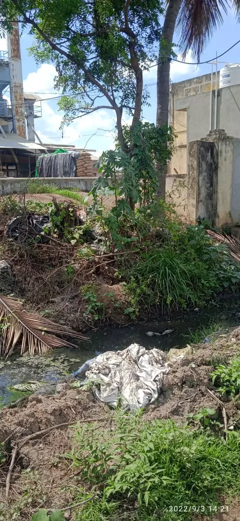 அசுத்தமாகும் குளத்து நீர் அசுத்தமாகும் குளத்து நீர்