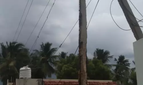 எலும்பு கூடான மின்கம்பம்