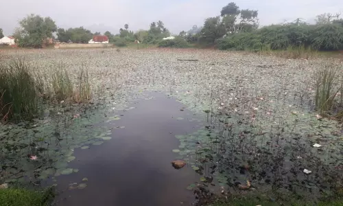 பயன்படுத்த முடியாத நிலையில் உள்ள குளம் பயன்படுத்த முடியாத நிலையில் உள்ள குளம்