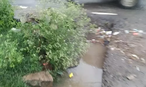 சாக்கடை கால்வாயில் அடைப்பு