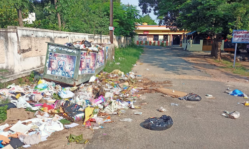 குப்பை கழிவுகள் அகற்றப்படுமா?