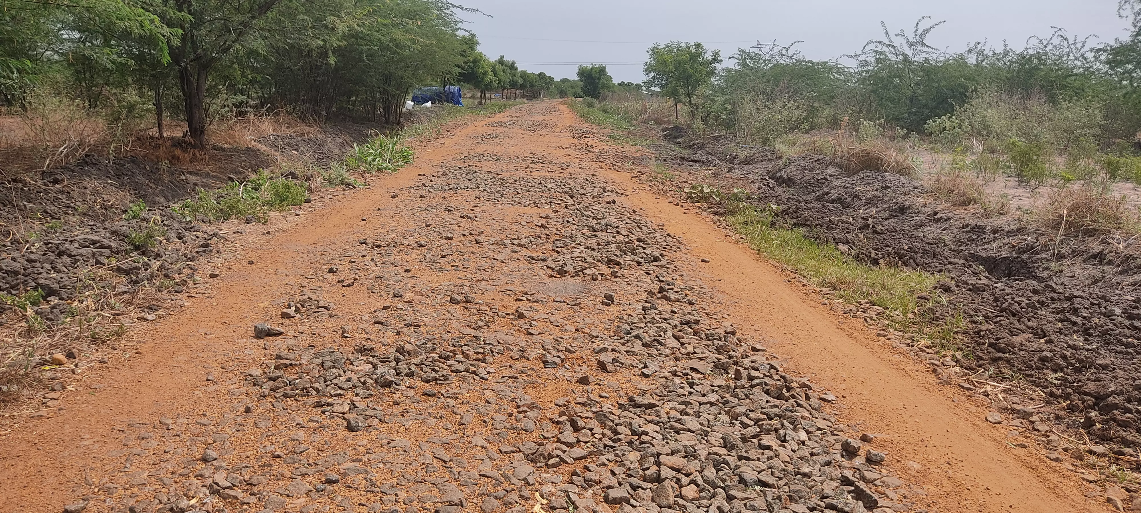 கிடப்பில் பராமரிப்பு பணி கிடப்பில் பராமரிப்பு பணி