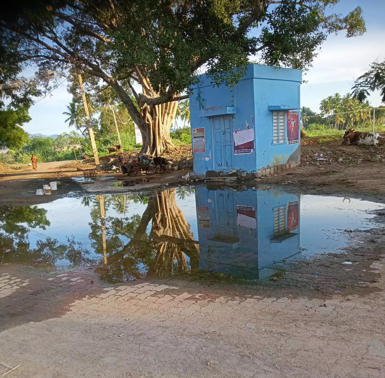 தேங்கும் கழிவுநீர் தேங்கும் கழிவுநீர்