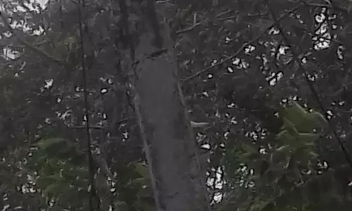 ஆபத்தான மின்கம்பம்