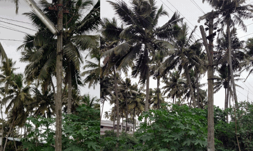 சரிசெய்யப்பட்டது சரிசெய்யப்பட்டது