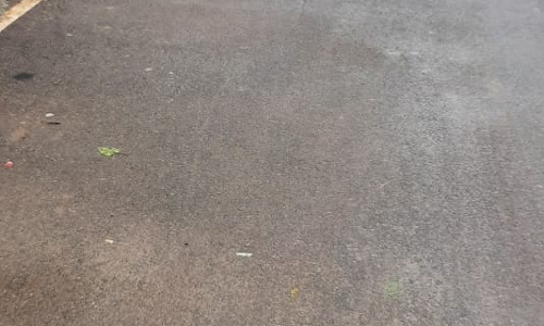 நடவடிக்கை தேவை