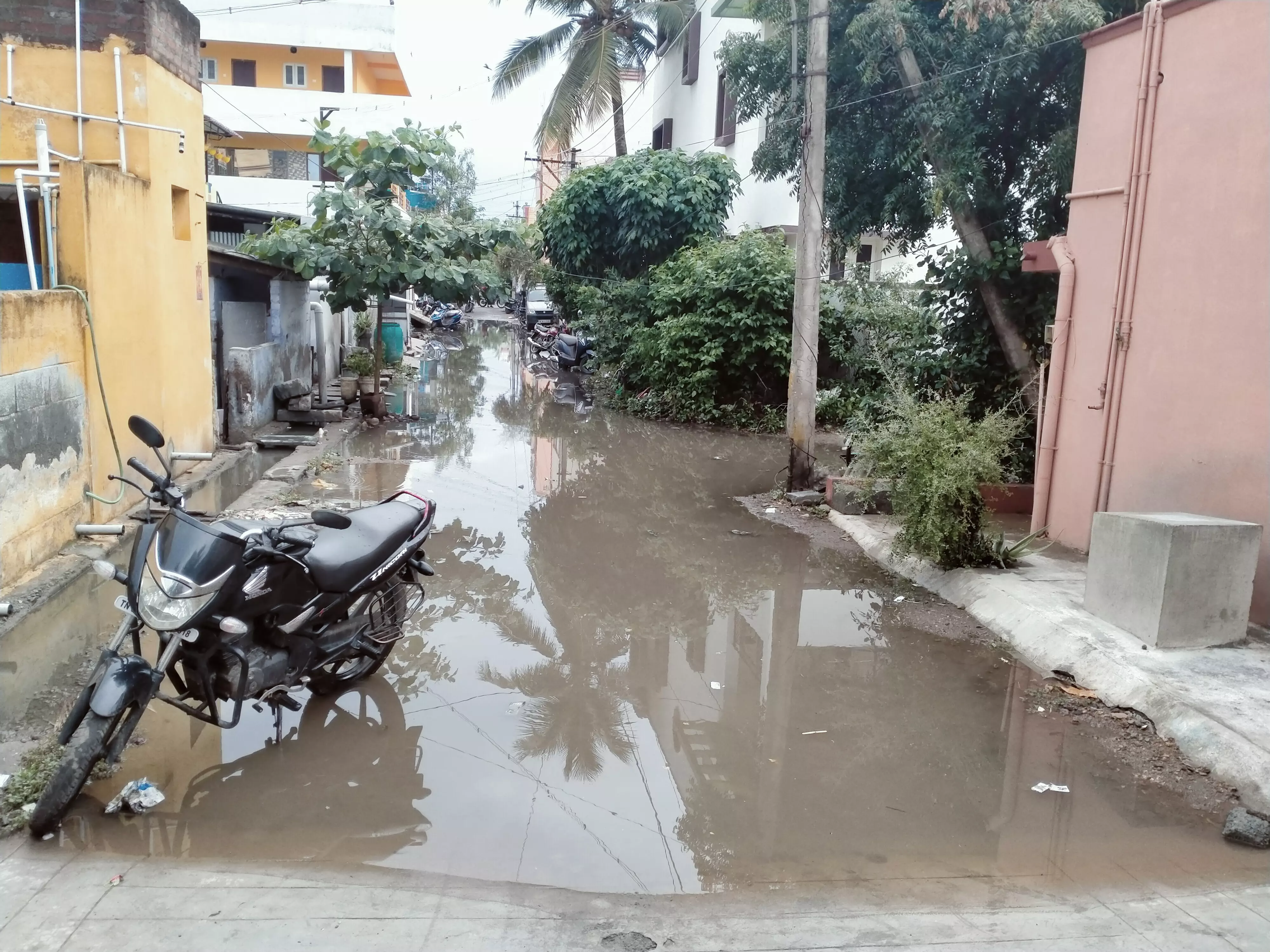 தேங்கி நிற்கும் மழை நீர் மற்றும் கழிவு நீர் தேங்கி நிற்கும் மழை நீர் மற்றும் கழிவு நீர்