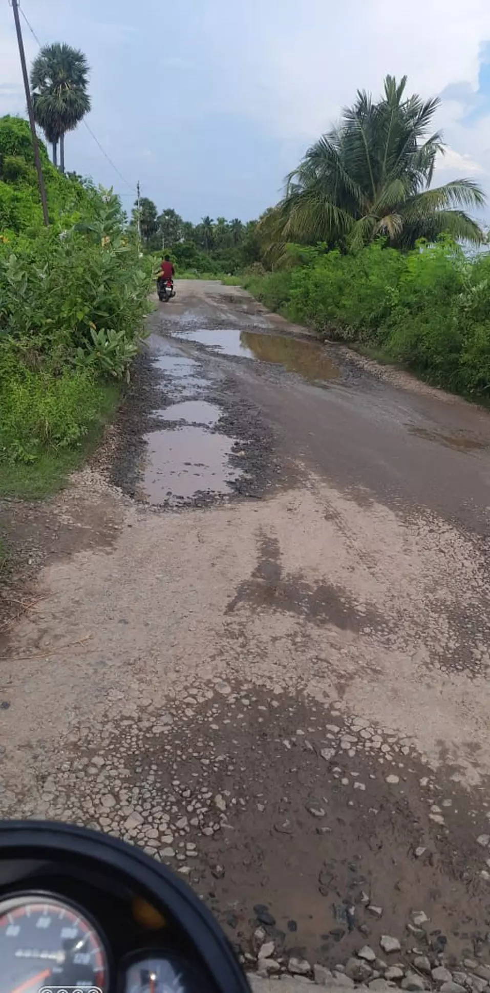 ரோட்டை சீரமைக்க வேண்டும்