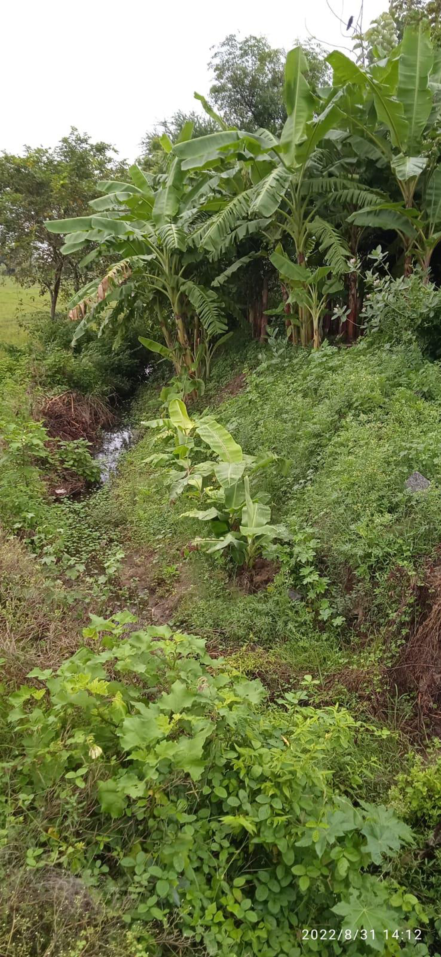 கால்வாய் ஆக்கிரமிப்பை அகற்ற வேண்டும்