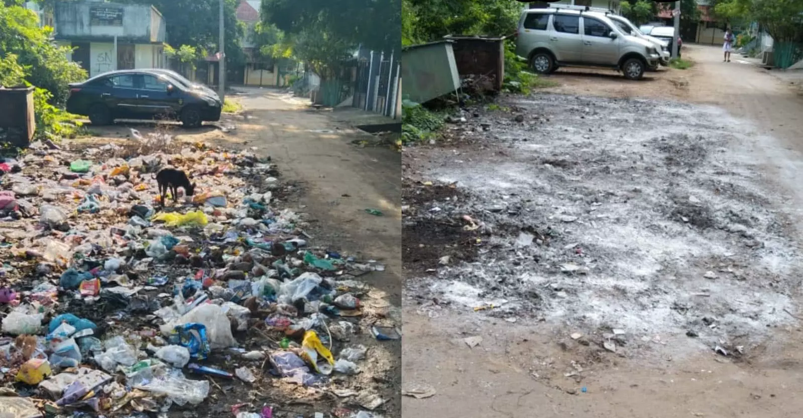 புகார்பெட்டி செய்தி எதிரொலி; குப்பைகள் அகற்றப்பட்டது புகார்பெட்டி செய்தி எதிரொலி; குப்பைகள் அகற்றப்பட்டது