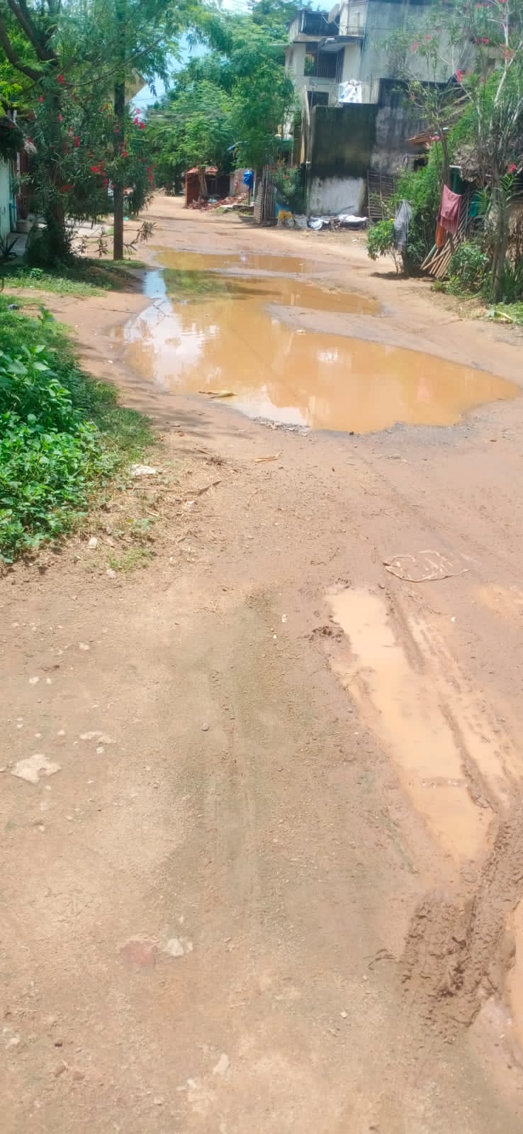 பல்லாங்குழி சாலை