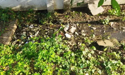 கழிவுநீர் கால்வாயை சீரமைக்க வேண்டும்