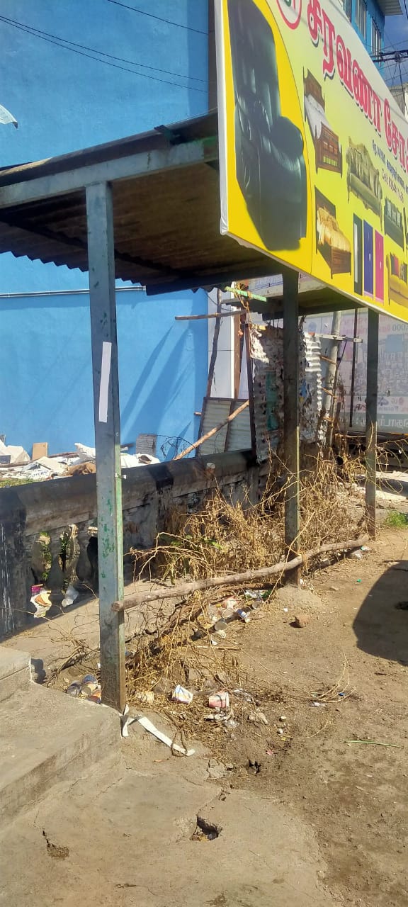 நிழற்குடையில் முட்செடிகள்