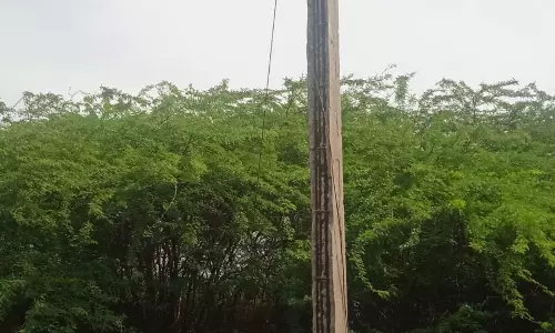 உயிர்பலி வாங்க காத்திருக்கும் மின்கம்பங்கள்