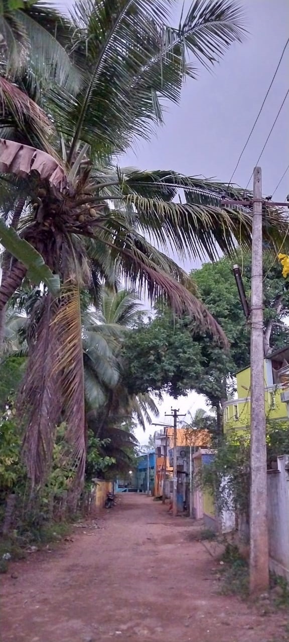 விபத்து அபாயம் விபத்து அபாயம்