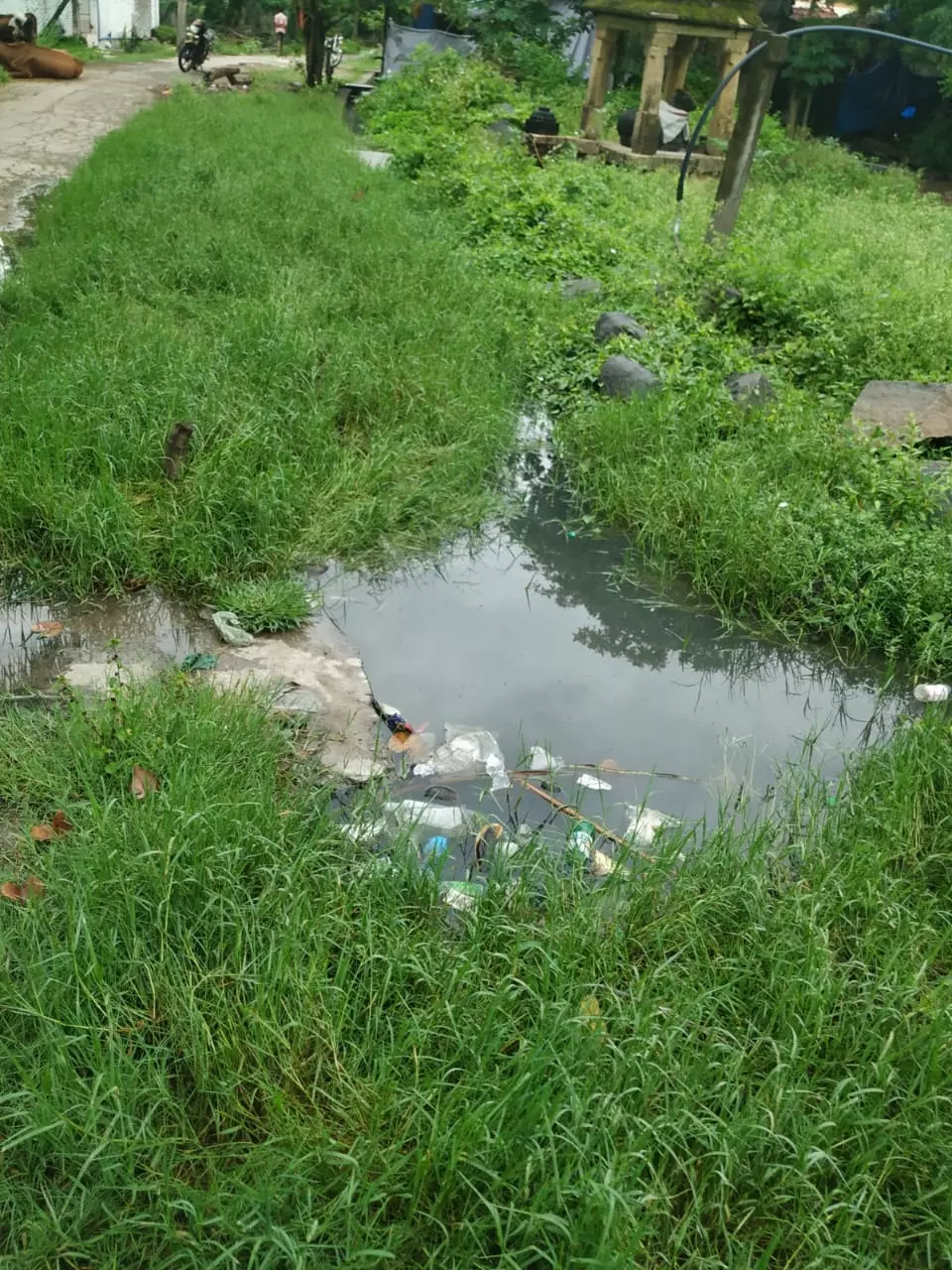 தேங்கி நிற்கும் கழிவுநீர் தேங்கி நிற்கும் கழிவுநீர்