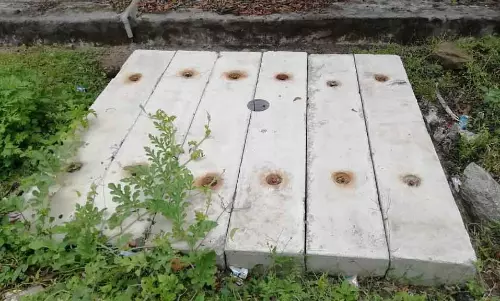 பாராட்டு