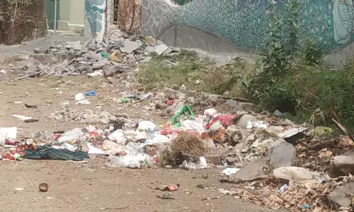 குப்பைகளை அப்புறப்படுத்துவார்களா?