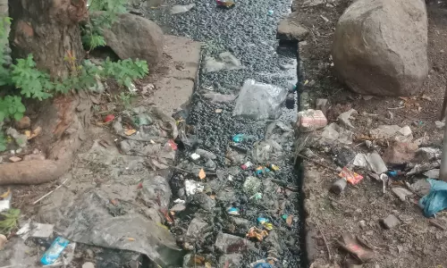 கழிவுநீா் கால்வாைய தூா்வார வேண்டும் கழிவுநீா் கால்வாைய தூா்வார வேண்டும்