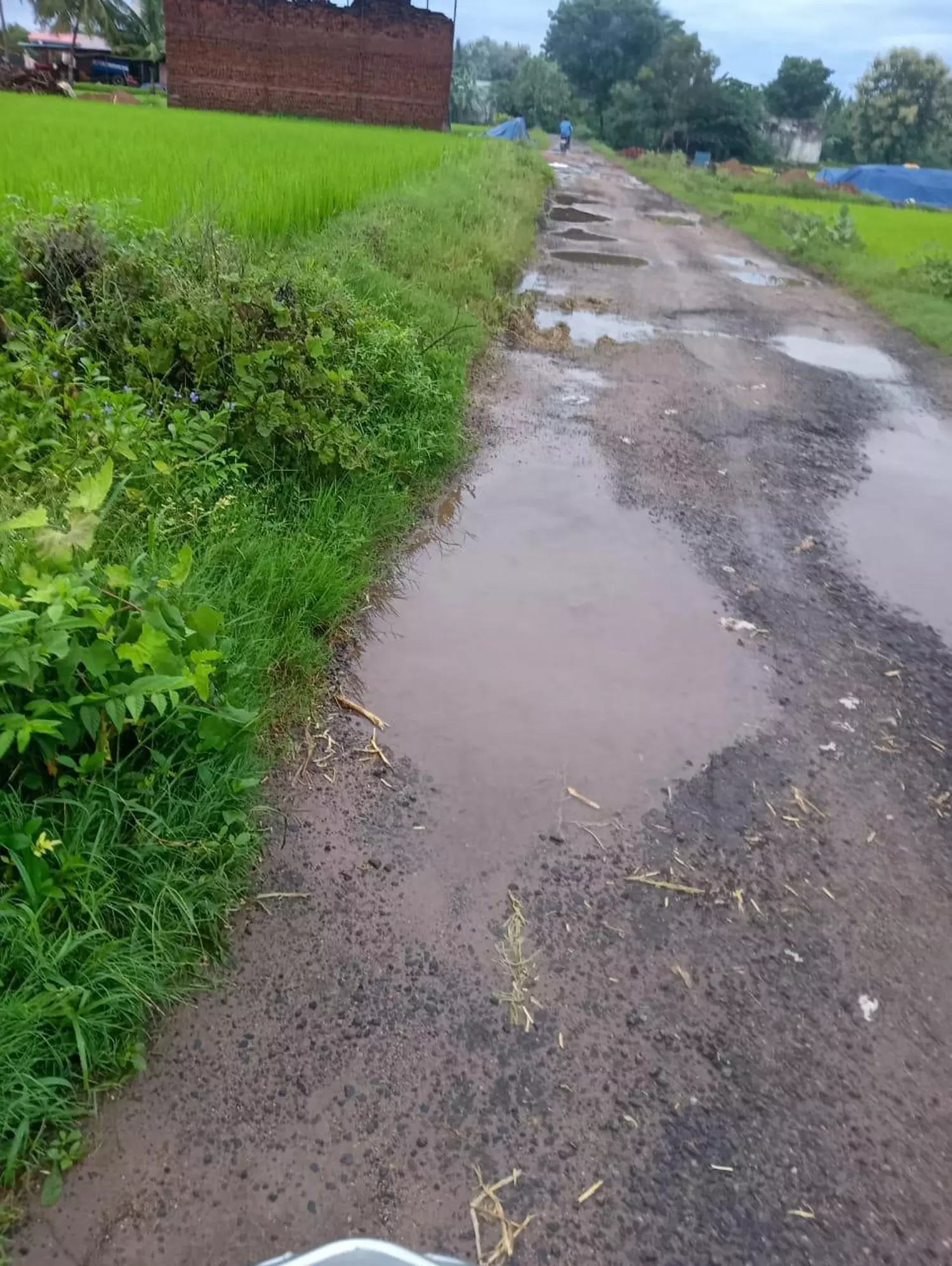 குண்டும் குழியுமான சாலை