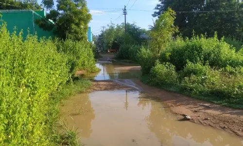 சாலையில் தேங்கும் மழைநீரால் மக்கள் அவதி