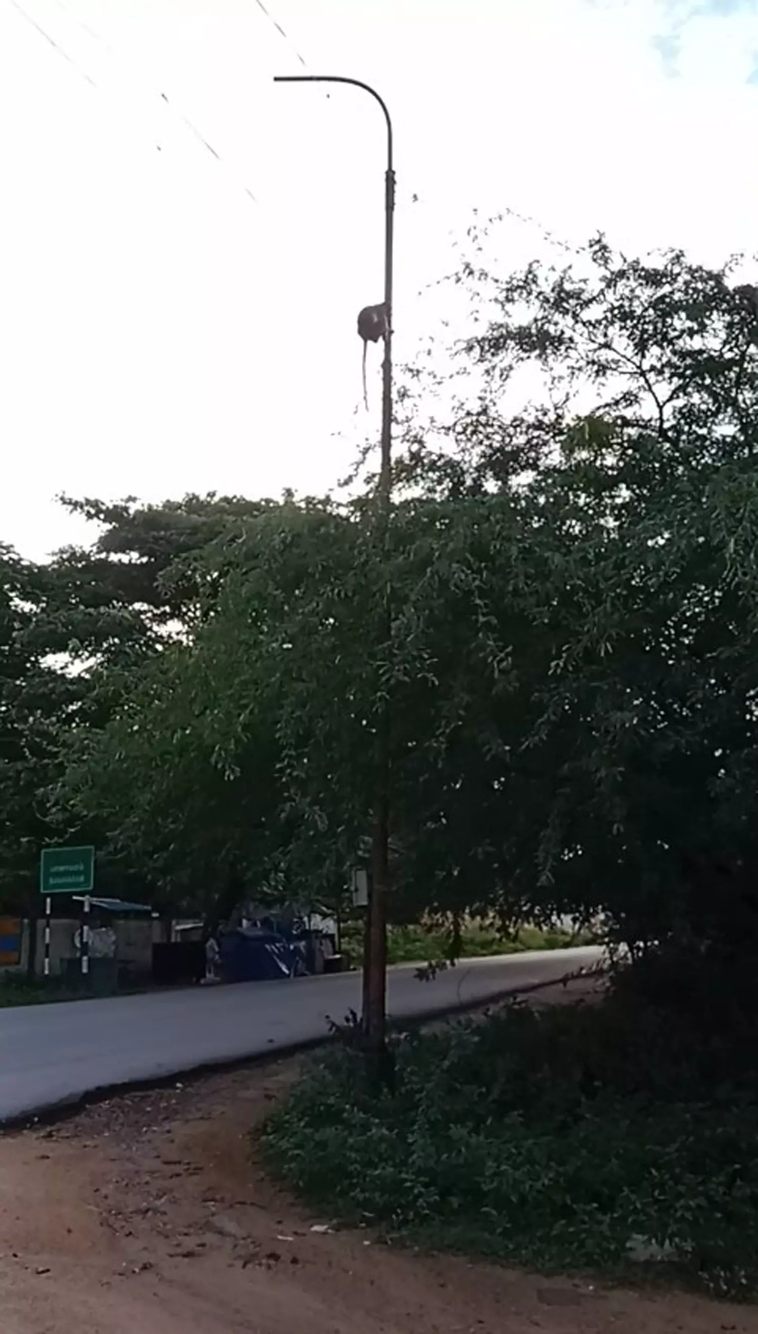 மின்விளக்கை காணவில்லை