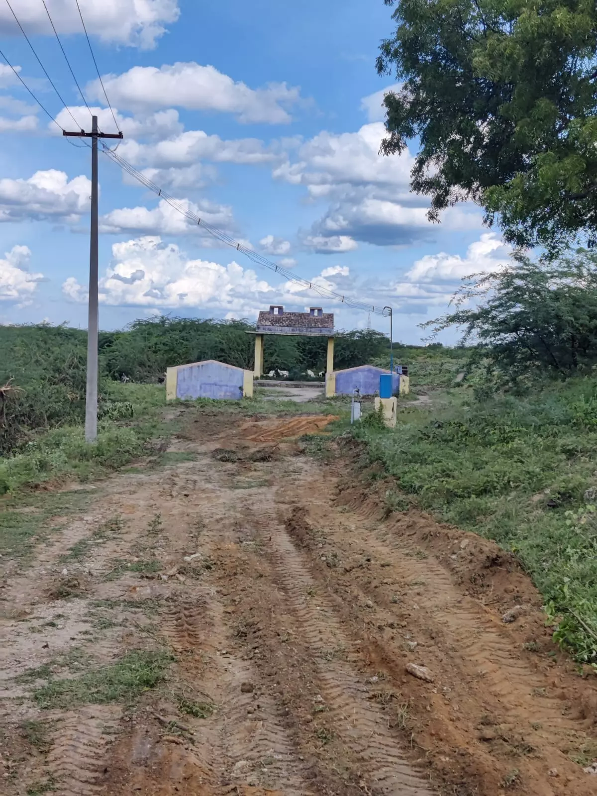 தினத்தந்திக்கு நன்றி தினத்தந்திக்கு நன்றி