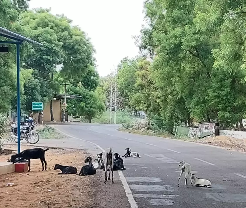 போக்குவரத்திற்கு இடையூறு போக்குவரத்திற்கு இடையூறு