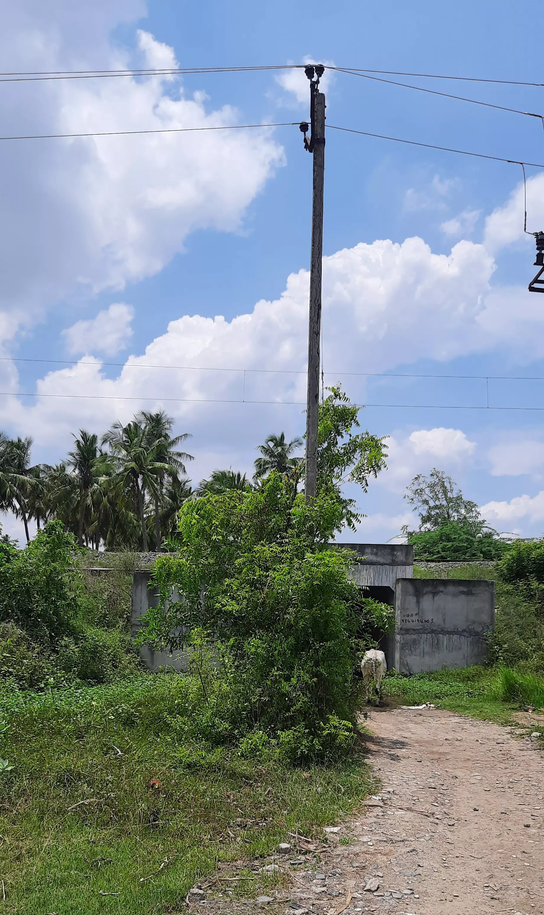 நடுபாதையில் மின்கம்பம் நடுபாதையில் மின்கம்பம்