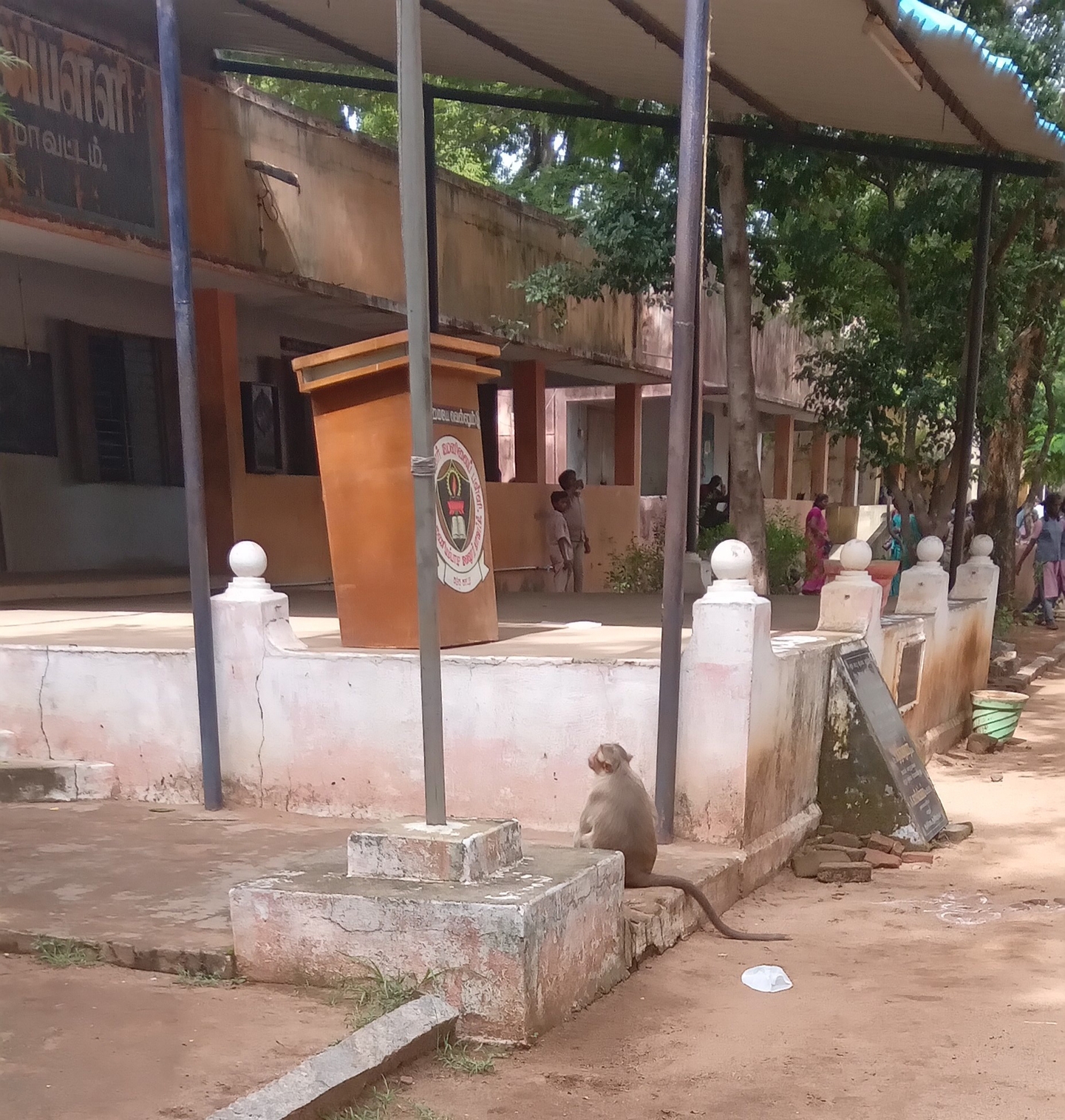 அரசு பள்ளியில் குரங்குகள் அட்டகாசம்