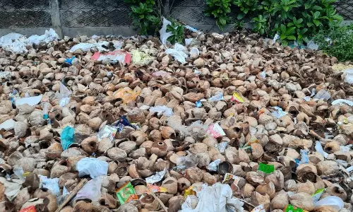 இளநீர் கூடுகள் அப்புறப்படுத்தப்படுமா?